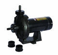 Hayward 0.75 HP Booster Pump